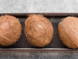 Satu Kontainer Kelapa Asal Kotawaringin Timur Diekspor ke Tiongkok