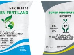 Direktur PT Multi Alam Raya Sejahtera Diadili di Kasus Dugaan Pupuk Ilegal