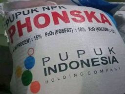 Warga Desa Katerban Selewengkan Pupuk Subsidi Secara Ilegal