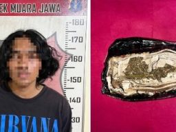 Polsek Muara Jawa Gagalkan Pengiriman Ganja Lewat Jasa Ekspedisi