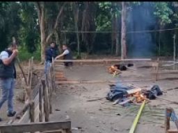 Polres Musi Rawas Grebek Sabung Ayam di Kelurahan Selangit