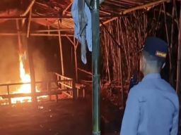 Polres Malang Grebek Arena Judi Sabung Ayam di Desa Ngenep