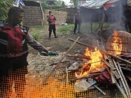 Sabung Ayam di Desa Modongan dan Desa Temon Digrebek Polres Mojokerto