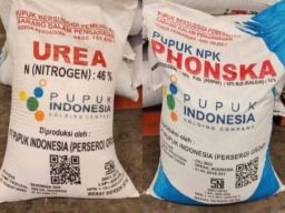 Satreskrim Polres Pacitan Tangkap Anggota Kelompok Tani Ngudi Makmur