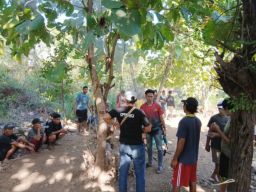 Polsek Sape Gerebek Judi Sabung Ayam di Desa Buncu