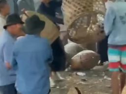 Peristiwa Berdarah di Arena Sabung Ayam di Desa Songan