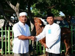 Komandan Puspenerbal Serahkan Hewan Kurban