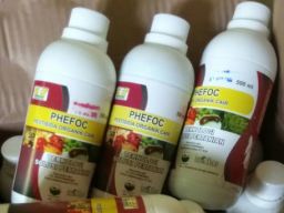 Diduga Produksi Pestisida Cair merek PHEFOC Tanpa Izin Edar, Sukawan Widhartono Dituntut 8 Bulan Bui