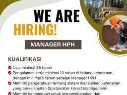 Lowongan PT Jemms Wood Alam Semesta Sebagai Manager HPH