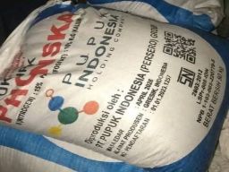 Warga Desa Katerban Penyeleweng Pupuk Subsidi Dituntut Denda Rp 30 Juta