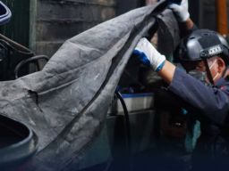 Bea Cukai Lhokseumawe Gagalkan Penyelundupan Satwa Ilegal