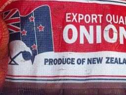 Penyelundupan 21 Ton Bawang Bombai di Pelabuhan Dwikora Pontianak