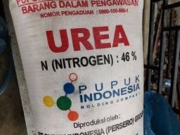 Farit Ali Divonis 3 Bulan Penjara di Kasus Pupuk Subsidi