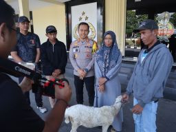 Polres Bondowoso Tangkap Pencuri Kambing di Desa Lombok Wetan