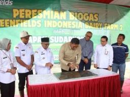 Konversi Limbah Sapi Jadi Energi Baru Terbarukan