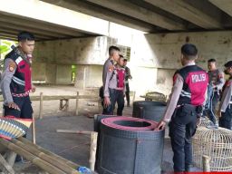 Polres Brebes Gerebek Lokasi Sabung Ayam Desa Limbangan