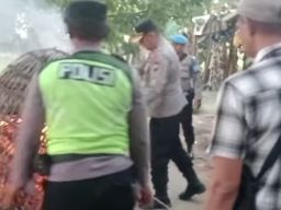 Aparat Gabungan Bongkar Arena Sabung Ayam di Desa Bandarasri