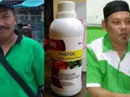 Edarkan Pestisida Ilegal, Pendiri PT Hidup Cerah Sejahtera Divonis 4 Bulan Penjara