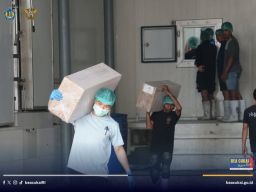 CV Mitra Tuna Mandiri Ekspor Yellowfin Tuna ke Vietnam