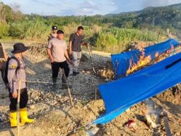 Polda Sumatera Barat Berantas Tambang Ilegal di Pasaman dan Sijunjung