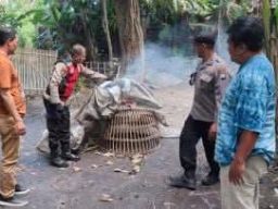 Polsek Balongbendo Grebek Sabung Ayam di Desa Seketi