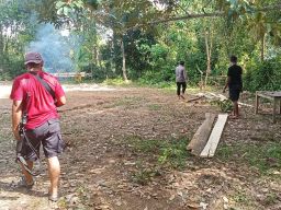 Arena Judi Sabung Ayam Dibongkar Polsek Kajuara