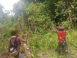 Pemberontak OPM Serang Pesawat Pengangkut TNI di Yahukimo
