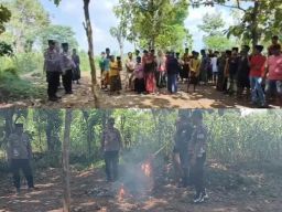 Arena Sabung Ayam di Desa Bira Tengah Digrebek Polsek Sokobanah