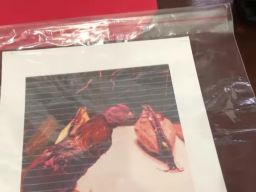 Rizal Mahardika Putra Jadi DPO Kasus Judi Sabung Ayam di Desa Perning