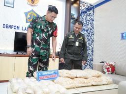 Satgaspam TNI AL Bandara Juanda Gagalkan Pengiriman Ilegal Sarang Burung Walet