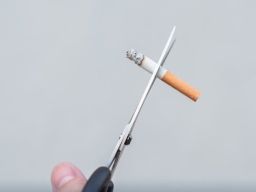 Bea Cukai Kendari Gagalkan Pengiriman 34 Ribu Batang Rokok Ilegal