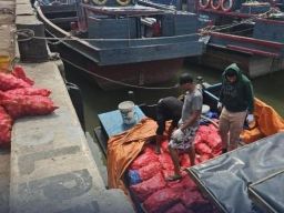 Kapal KM Alfatihah Angkut Bawang Merah Ilegal