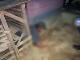 6 Pemain Judi Sabung Ayam Ditangkap Polsek Baruga