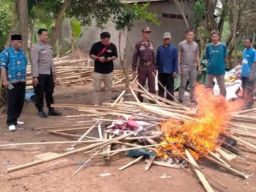 Polsek Cikampek Bongkar Arena Sabung Ayam di Desa Karangsinom
