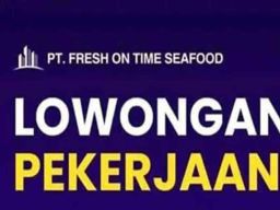 PT Fresh On Time Seafood Buka Lowongan Tenaga Admin