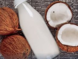 PT Kether Coco Bio Ekspor 260 Ton Santan Beku ke Tiongkok