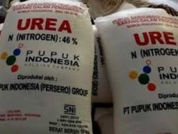 Hermin Suryani Jual Pupuk Subsidi Secara Ilegal di Desa Bakur