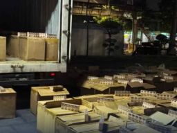 Bea Cukai Gagalkan Peredaran Jutaan Batang Rokok Ilegal di Jalan Tol Semarang