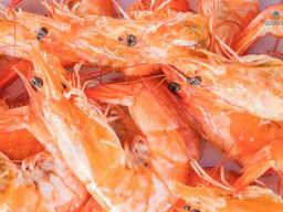 Udang Indonesia Aman Dikonsumsi Meski Ditemukan Cesium 137