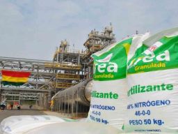 Produksi Urea di Bolivia Periode Januari dan Agustus 2025