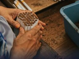 Belasan Pabrik Rokok di Sumenep Terima Izin Operasi