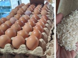 CV Drajad Mulyo Joyo Tulungagung Ketipu Pengadaan Beras dan Telur