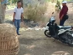Penjudi Sabung Ayam Lolos Dari Kejaran Polsek Menganti