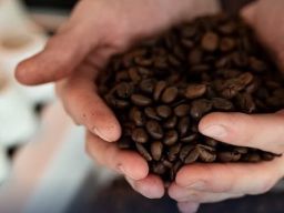 Kopi Flores Bajawa Diekspor ke Thailand