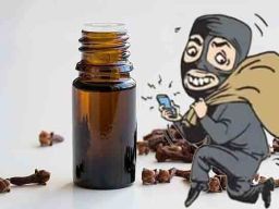 Kemas Syarifudin Menipu Direktur PT Inti Nabati Global Ekstraksi