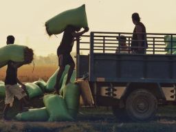 3 Perusahaan Asal Kalimantan Timur Ekspor ke India dan Tiongkok