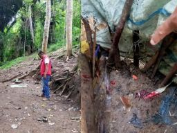 Polsek Kindang Gerebek Lokasi Sabung Ayam di Desa Balibo