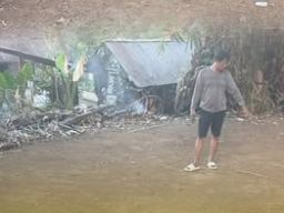 Polsek Wara Utara Bubarkan Judi Sabung Ayam di Kelurahan Pattene