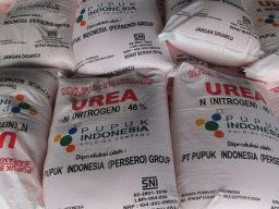 Kios Pupuk di Mojokerto Belum Turunkan Harga Sesuai HET