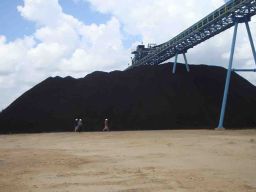 Daftar Perusahaan Buyer Batu Bara